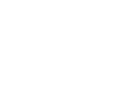 Logo CASLIN